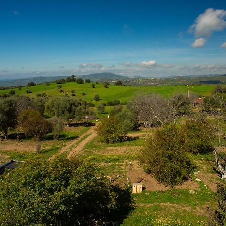 Camping Panorama Hotel Ouazzane Luaran gambar
